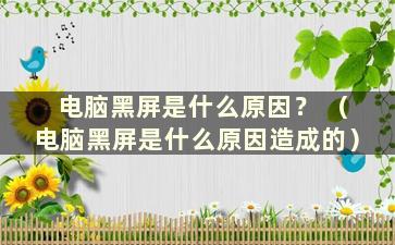 电脑黑屏是什么原因？ （电脑黑屏是什么原因造成的）